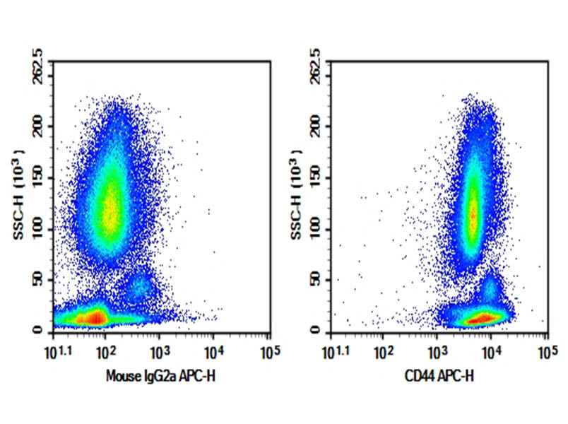Anti-Human CD44 Antibody [HI44a] - ABMIUM