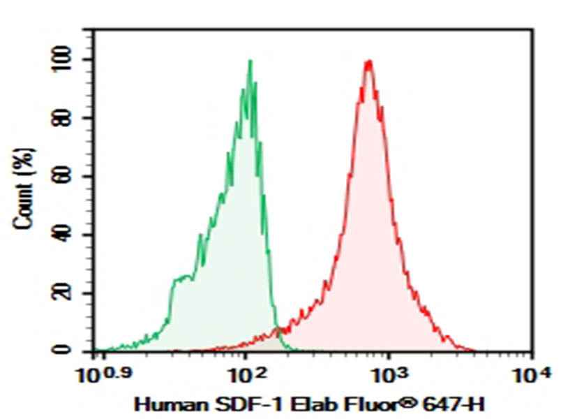 Anti-Human SDF-1 Antibody [H336-5H5] - ABMIUM