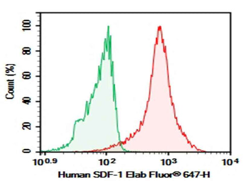 Anti-Human SDF-1 Antibody [H336-5H5] - ABMIUM