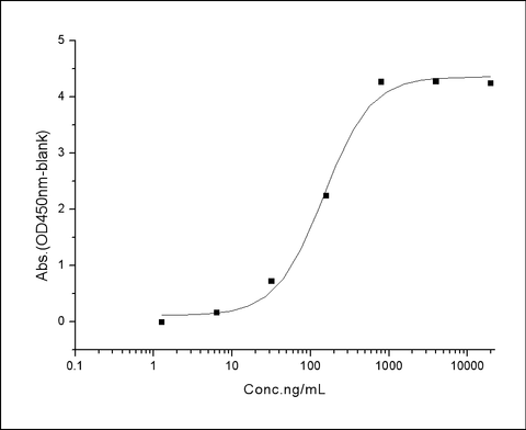Measured by its binding ability in a functional ELISA. Immobilized mouse ERBB4-His at 10 μg/ml (100 μl/well) can bind biotinylated human NRG1 (Cat: PKSH031068)2), The EC<sub>50</sub> of biotinylated human NRG1 (Cat: PKSH031068)2) is 0.55-1.29 μg/ml.