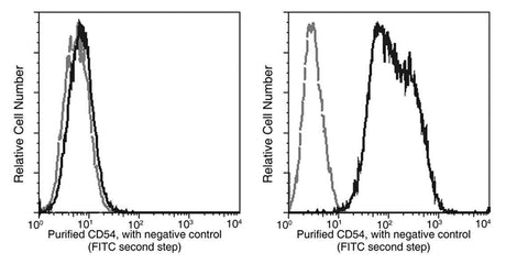 Anti-Human ICAM1 Antibody [A847] - ABMIUM