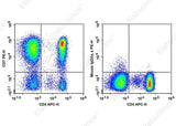 Anti-Human CD7 Antibody [CD7-6B7] - ABMIUM