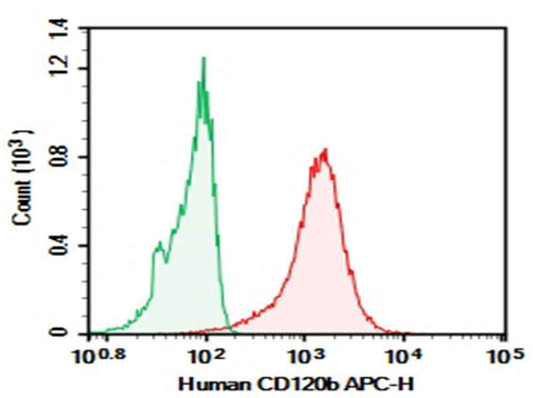 Anti-Human CD120b Antibody [H370-3B12] - ABMIUM