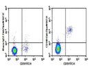 Anti-Human CD180 Antibody [G28-8] - ABMIUM