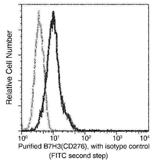 Anti-Human CD276 Antibody [A867] - ABMIUM