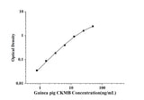 Guinea pig CKMB(Creatine Kinase MB Isoenzyme) ELISA Kit technical data image - Reed Biotech