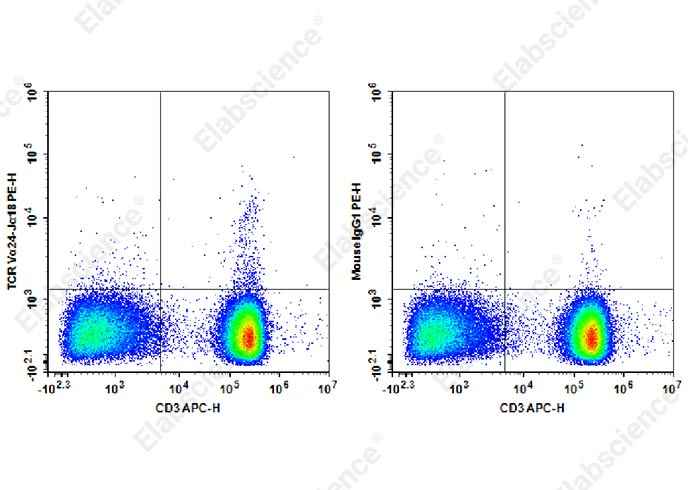 Anti-Human TCR Vα24-Jα18 Antibody [6B11] - ABMIUM