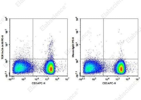 Anti-Human TCR Vα24-Jα18 Antibody [6B11] - ABMIUM