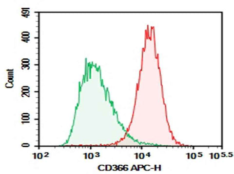 Anti-Human CD366 Antibody [F38-2E2] - ABMIUM