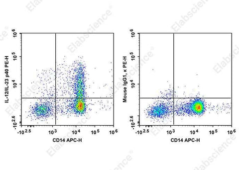 Anti-Human IL-12/IL-23 p40 Antibody [C11.5] - ABMIUM