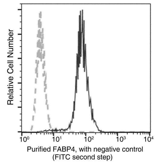 Anti-Human FABP4 Antibody [B166] - ABMIUM