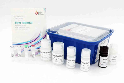 Human ADH6 (Alcohol Dehydrogenase 6) Fast Step ELISA Kit