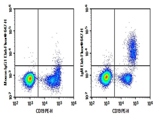 Human peripheral blood lymphocytes were stained with 0.2 μg Purified Anti-Human IgM Antibody[MHM-88] (RigM Antibody[MHM-88] (Right) and 0.2 μg Mouse IgG1, κ Isotype Control (Left), followed by Elab Fluor<sup>®</sup> 647-conjugated Goat Anti-Mouse IgG Secondary Antibody, then anti-Human CD19 PE-conjugated Monoclonal Antibody.
