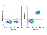 Human peripheral blood lymphocytes were stained with 0.2 μg AF/LE Purified Anti-Human CD19 Antibody[4G7] (Right) and 0.2 μg Mouse IgG1, κ Isotype Control (Left), followed by APC-conjugated Goat Anti-Mouse IgG Secondary Antibody, then anti-Human CD22 PE-conjugated Monoclonal Antibody.