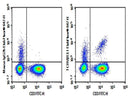 Anti-Human TCRVβ13.1 Antibody [H131] - ABMIUM