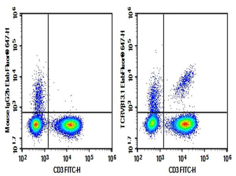 Anti-Human TCRVβ13.1 Antibody [H131] - ABMIUM