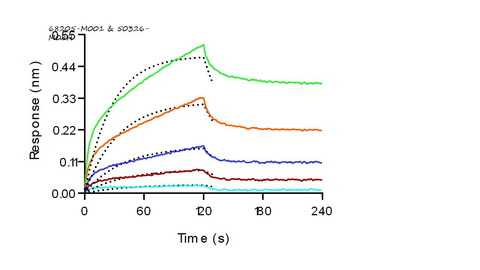 Mouse CD16/FCGR3 Protein 37777,Loaded Monoclonal Anti-Human CD3 Antibody, Mouse IgG2a (OKT3) on ProA Biosensor, can bind Recombinant Mouse CD16/FCGR3 Protein, His Tag (Cat: PKSM040733) with an affinity constant of 322nM as determined in BLI assay (Sartorius Octet RED384).