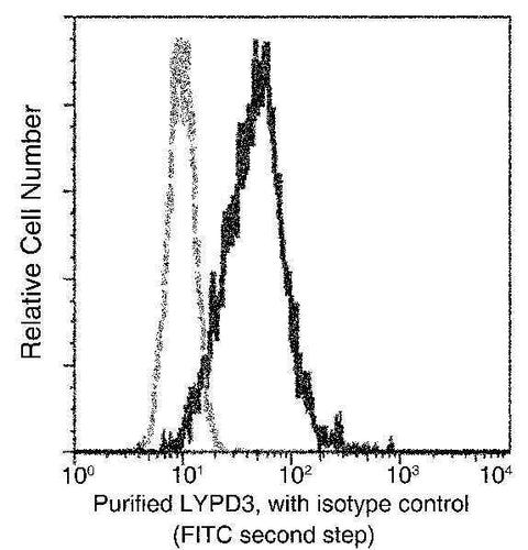 Anti-Human LYPD3 Antibody [B162] - ABMIUM