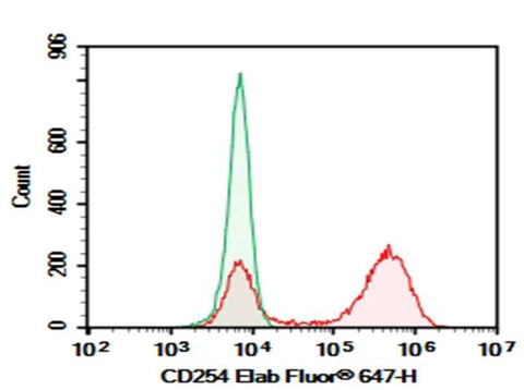 Anti-Mouse CD254 Antibody [IK22-5] - ABMIUM