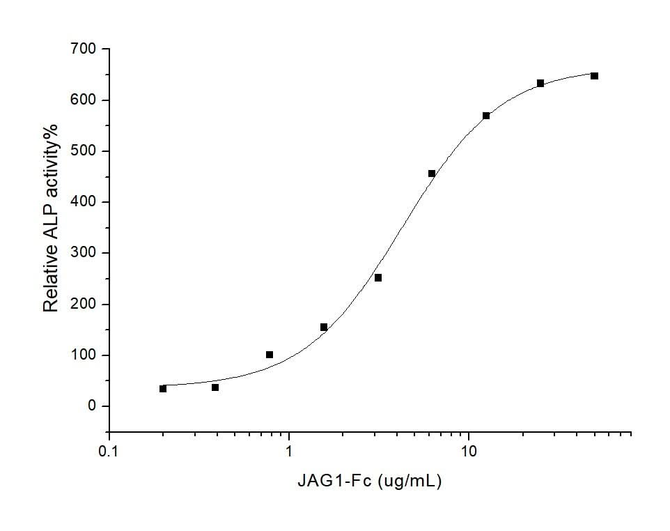 Measured by the ability of the immobilized protein to enhance BMP2-induced alkaline phosphatase activity in C3H10T1/2 mouse embryonic fibroblast cells.The ED<sub>50</sub> for this effect is typically 5-30 μg/mL.