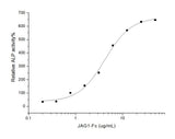 Measured by the ability of the immobilized protein to enhance BMP2-induced alkaline phosphatase activity in C3H10T1/2 mouse embryonic fibroblast cells.The ED<sub>50</sub> for this effect is typically 5-30 μg/mL.