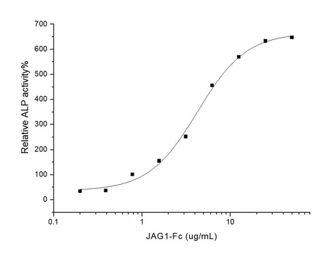 Measured by the ability of the immobilized protein to enhance BMP2-induced alkaline phosphatase activity in C3H10T1/2 mouse embryonic fibroblast cells.The ED<sub>50</sub> for this effect is typically 5-30 μg/mL.