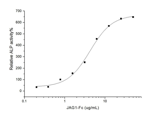 Measured by the ability of the immobilized protein to enhance BMP2-induced alkaline phosphatase activity in C3H10T1/2 mouse embryonic fibroblast cells.The ED<sub>50</sub> for this effect is typically 5-30 μg/mL.