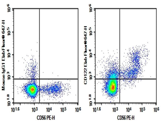 Human peripheral blood lymphocytes cell were stained with 0.2 μg AF/LE Purified Anti-Human CD122 Antibody[TU27] (Right) and 0.2 μg Mouse IgG1, κ Isotype Control (Left), followed by Elab Fluor<sup>®</sup> 647-conjugated Goat Anti-Mouse IgG Secondary Antibody, then anti-Human CD56 PE-conjugated Monoclonal Antibody.