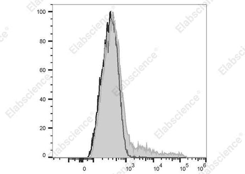Anti-Human HLA-DP Antibody [B7/21] - ABMIUM