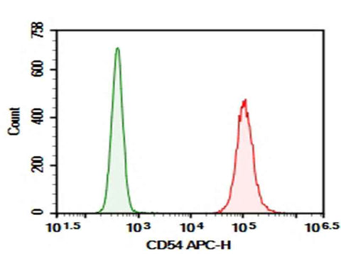 Anti-Human CD54 Antibody [HCD54] - ABMIUM