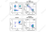 The Naïve CD4+T cells isolated from normal PBMC were stained with APC Anti-Human CD3 Antibody[OKT-3] (E-AB-F1001E)、PE Anti-Human CD4 Antibody[RPA-T4]（E-AB-F1109D）、FITC Anti-Human CD45RO Antibody[UCHL1]（E-AB-F1139C）and PE/Cyanine7 Anti-Human CD45RA Antibody[HI100] （E-AB-F1052H）. The purities of the start and final isolated fractions were 18.49% and 96.28%, respectively.