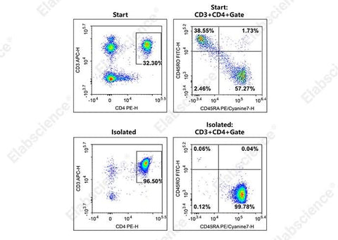 The Naïve CD4+T cells isolated from normal PBMC were stained with APC Anti-Human CD3 Antibody[OKT-3] (E-AB-F1001E)、PE Anti-Human CD4 Antibody[RPA-T4]（E-AB-F1109D）、FITC Anti-Human CD45RO Antibody[UCHL1]（E-AB-F1139C）and PE/Cyanine7 Anti-Human CD45RA Antibody[HI100] （E-AB-F1052H）. The purities of the start and final isolated fractions were 18.49% and 96.28%, respectively.