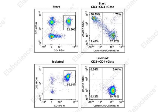 The Naïve CD4+T cells isolated from normal PBMC were stained with APC Anti-Human CD3 Antibody[OKT-3] (E-AB-F1001E)、PE Anti-Human CD4 Antibody[RPA-T4]（E-AB-F1109D）、FITC Anti-Human CD45RO Antibody[UCHL1]（E-AB-F1139C）and PE/Cyanine7 Anti-Human CD45RA Antibody[HI100] （E-AB-F1052H）. The purities of the start and final isolated fractions were 18.49% and 96.28%, respectively.