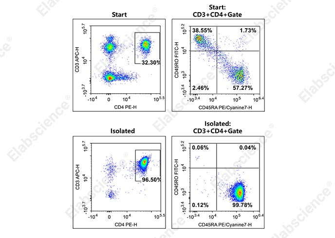 The Naïve CD4+T cells isolated from normal PBMC were stained with APC Anti-Human CD3 Antibody[OKT-3] (E-AB-F1001E)、PE Anti-Human CD4 Antibody[RPA-T4]（E-AB-F1109D）、FITC Anti-Human CD45RO Antibody[UCHL1]（E-AB-F1139C）and PE/Cyanine7 Anti-Human CD45RA Antibody[HI100] （E-AB-F1052H）. The purities of the start and final isolated fractions were 18.49% and 96.28%, respectively.