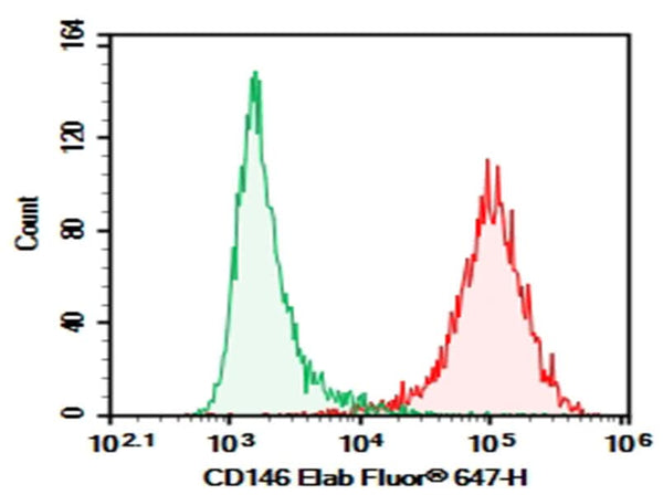 Hela were stained with 0.2 μg Purified Anti-Human CD146 Antibody[AA98] (Right) and 0.2 μg Mouse IgG2a, κ Isotype Control (Left), followed by Elab Fluor<sup>®</sup> 647-conjugated Goat Anti-Mouse IgG Secondary Antibody.