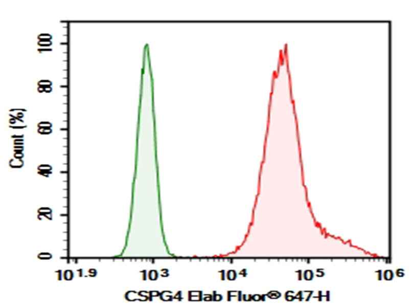 Anti-Human CSPG4 Antibody [9.2.27] - ABMIUM