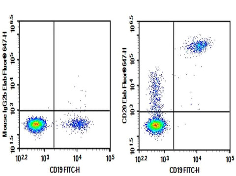Human peripheral blood lymphocytes were stained with 0.2 μg AF/LE Purified Anti-Human CD20 Antibody[2H7] (Right) and 0.2 μg Mouse IgG2b, κ Isotype Control (Left), followed by Elab Fluor<sup>®</sup> 647-conjugated Goat Anti-Mouse IgG Secondary Antibody, then anti-Human CD19 FITC-conjugated Monoclonal Antibody.