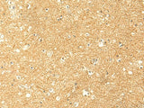 Immunohistochemistry of paraffin-embedded Human brain tissue using RNF148 Polyclonal Antibody at dilution of 1:50(×200)