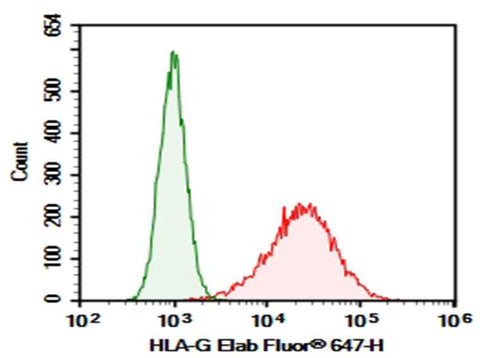 Anti-Human HLA-G Antibody [MEM-G/11] - ABMIUM