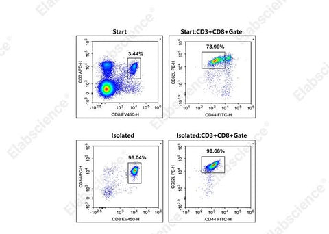 Naïve CD8+T(CD3+CD8+CD44-/lowCD62Lhigh) cells were isolated from the spleen cells of C57BL/6 mice, and were stained with APC Anti-Mouse CD3ε Antibody[145-2C11](E-AB-F1103E)、Elab Fluor<sup>®</sup> Violet 450 Anti-Mouse CD8a Antibody[53-6.7](E-AB-F1104Q)、FITC Anti-Mouse CD44 Antibody[NIM-R8](AN00917C) and PE Anti-Mouse CD62L Antibody[MEL-14](E-AB-F1011D). The purities of start and final isolated fractions were 2.55% and 94.77%, respectively.