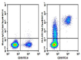 Human peripheral blood lymphocytes were stained with 0.2 μg AF/LE Purified Anti-Human HLA-DR Antibody[L243] (Right) and 0.2 μg Mouse IgG2a, κ Isotype Control (Left), followed by Elab Fluor<sup>®</sup> 647-conjugated Goat Anti-Mouse IgG Secondary Antibody, then anti-Human CD19 FITC-conjugated Monoclonal Antibody.