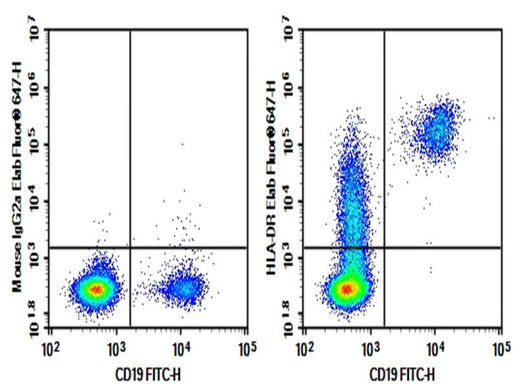 Human peripheral blood lymphocytes were stained with 0.2 μg AF/LE Purified Anti-Human HLA-DR Antibody[L243] (Right) and 0.2 μg Mouse IgG2a, κ Isotype Control (Left), followed by Elab Fluor<sup>®</sup> 647-conjugated Goat Anti-Mouse IgG Secondary Antibody, then anti-Human CD19 FITC-conjugated Monoclonal Antibody.