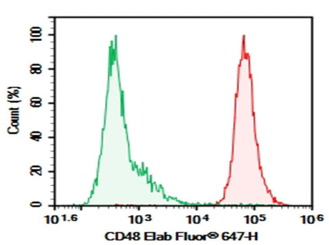 C57/BL6 Mouse splenocytes were stained with 0.2 μg AF/LE Purified Anti-Mouse CD48 Antibody[HM48-1] (Right) and 0.2 μg Armenian Hamster IgG, κ Isotype Control (Left), followed by PE-conjugated Goat Anti-Armenian Hamster IgG Secondary Antibody.