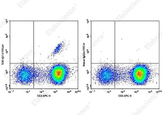 Anti-Human TCR Vβ7.1 Antibody [ZOE5.1] - ABMIUM