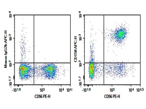 Human peripheral blood lymphocytes were stained with 0.2 μg Purified Anti-Human CD158 Antibody[HP-MA4] (Right) and 0.2 μg Mouse IgG2b, κ Isotype Control (Left), followed by APC-conjugated Goat Anti-Mouse IgG Secondary Antibody, then anti-Human CD56 PE-conjugated Monoclonal Antibody.