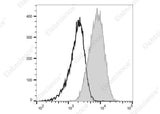 Anti-Human CD135 Antibody [4G8] - ABMIUM