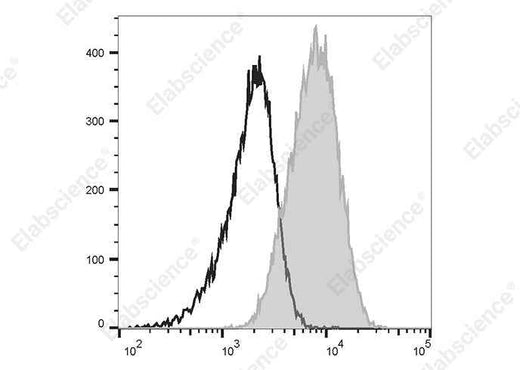 Anti-Human CD135 Antibody [4G8] - ABMIUM