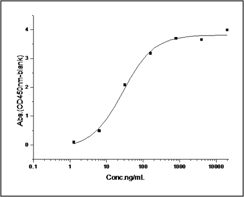 Immobilized human GST-SerpinB2 at 10 μg/ml (100 μl/well) can bind biotinylated human uPA-His (Cat: PKSH031415), The EC<sub>50</sub> of biotinylated human uPA-His (Cat: PKSH031415) is 10.24-23.88 ng/ml.