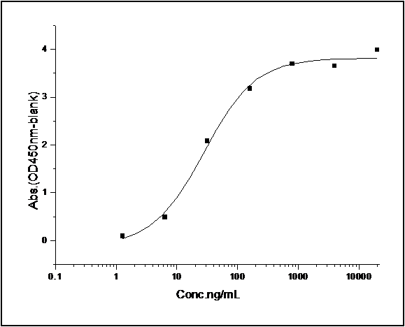 Immobilized human GST-SerpinB2 at 10 μg/ml (100 μl/well) can bind biotinylated human uPA-His (Cat: PKSH031415), The EC<sub>50</sub> of biotinylated human uPA-His (Cat: PKSH031415) is 10.24-23.88 ng/ml.