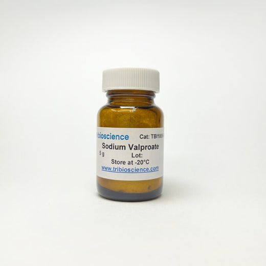 Sodium valproate, HDAC inhibitor